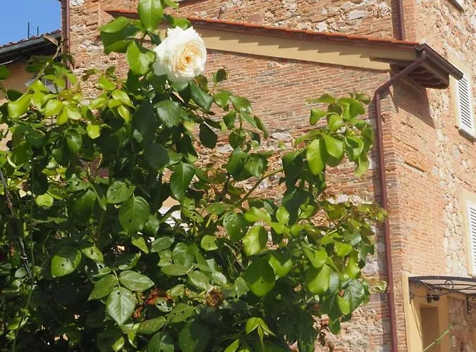Casa de Férias La Casa Di Samarcanda Uliveto Terme